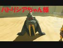 #75【ゼルダの伝説 ブレス オブ ザ ワイルド】パトリシアちゃん様に占ってもらう！