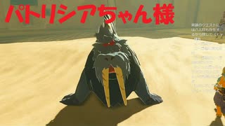 #75【ゼルダの伝説 ブレス オブ ザ ワイルド】パトリシアちゃん様に占ってもらう！