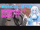 ひびき灘・宗像・宮地嶽神社へ初詣ライド【Whitecul＆フリモメン】