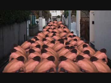 皆でコンタクトレンズを探してあげるタクヤさん