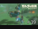 カッシーワ【ゼルダの伝説ブレスオブザワイルド】#39