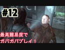 ゆるゆるガバガバなThe Last of Us Part II　#１２実況プレイ