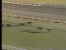 秋の天皇賞レース集（1964～1988）