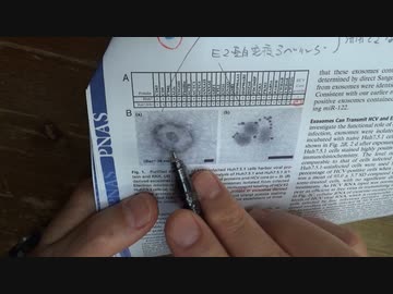 自己増幅型RNAがエクソソーム伝染するという論文