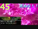 【45】ドラクエⅨ　女パーティーにまりもを添えて
