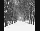 【初音ミク】suicide snowcide