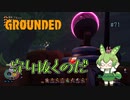 守り抜くのだ/Grounded/#71