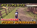 ポケモンアルセウス　ポケモンとの相性診断　サブ任務２８　仲の良さをみせてくれ　【Pokémon LEGENDS アルセウス】