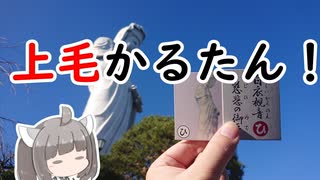 【上毛かるた：ひ】きりたんの上毛かるたん！～白衣観音慈悲の御手～【東北きりたん】