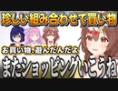 ルーナ姫との未来予想図で感想文みたいになってしまうころさん【戌神ころね/姫森ルーナ/友人A（えーちゃん）/ホロライブ切り抜き】