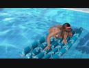 【DoaX3/ヒトミ】グラビアパラダイス
