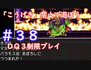 「こうげき」禁止で遊ぼう【ＤＱ３制限実況プレイ】＃３８ ネタバレあり