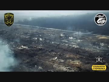 ホモと見るロシア戦車花火