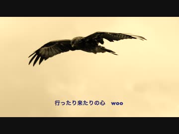 巡音ルカ「隣り合わせの命」海遊魚