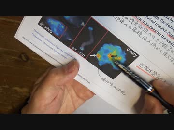 ナノ粒子が卵巣に集積するという論文