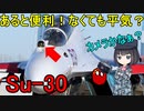【兵器解説】このSu-30戦闘機の機首についているものはなんだろう？