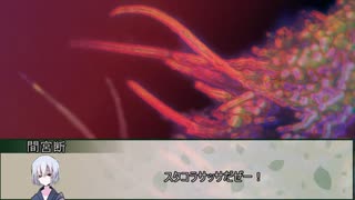 【クトゥルフ神話TRPG】シガレットモンスター　第二話【実卓リプレイ】