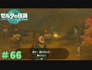 顔を隠してって言われたからさ　「ゼルダの伝説～ティアーズ・オブ・ザ・キングダム」　＃66