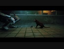 【Stray】お猫様は癒しです#14