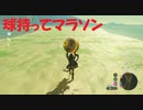 #79【ゼルダの伝説 ブレス オブ ザ ワイルド】球を持ってマラソンする！