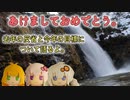 【結月ゆかり】あけましておめでとうございます。 去年の反省と今年の目標を語る。【弦巻マキ】【紲星あかり】