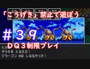 「こうげき」禁止で遊ぼう【ＤＱ３制限実況プレイ】＃３９ ネタバレあり