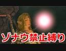 ゾナウ禁止縛りpart12【ティアキン/制限プレイ/ゼルダの伝説ティアーズオブザキングダム】