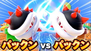 世にも珍しいパックンミラーをとくとご覧あれ【スマブラSP】