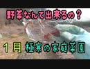 極寒の家庭菜園で野菜は出来るの？