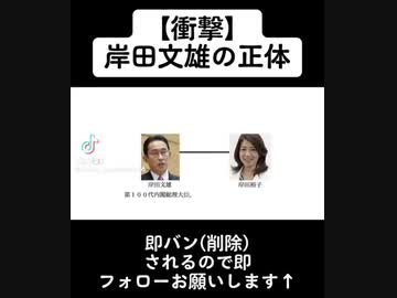 【衝撃】岸田文雄の正体