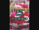 春想(krage/天官賜福ED)歌ってみた