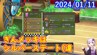 【DQX】No.1030 カレンチャン・ソダシ・ヒシアマゾンの3大女傑が勢ぞろいした伝説のスライムレース【結月ゆかり】
