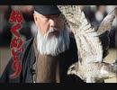 ぬくめどり　～鷹匠の世界～　サンプル動画