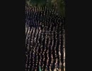 イタリアでもネオナチが活性化。首都ローマではネオナチ「イタリア社会運動党」の集会に集まった群衆の様子が撮影された。これを受け、野党はネオナチ団体の禁止をメローニ政権に要求している。