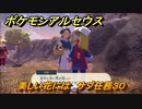 ポケモンアルセウス　美しい花には　サブ任務３０　ロゼリアの出現場所は？　【Pokémon LEGENDS アルセウス】