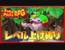 レベル上げ禁止でスーパーマリオRPG マルガリータ＆ドド戦