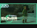 #220【ゼルダの伝説ティアーズオブザキングダム】ちょっと世界を翔けてくる【実況プレイ】
