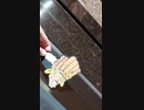 都会に転校する友達の乗る電車を泣きながら追いかけるエシディシ