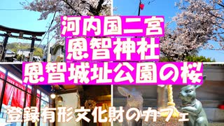 河内国二宮恩智神社　桜の季節の八尾散歩①　大阪平野を見おろす恩智城址公園は桜満開、登録有形文化財萩原家住宅古民家カフェ茶吉庵。みどころ沢山の八尾めぐり。