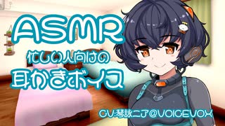 寝る前、ニアちゃんに膝枕で耳かきしてもらった【耳かき(綿棒)/ASMR】