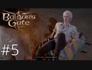 アスタリオン(♂)「なかなかの眺めだ」【baldur's gate 3】実況プレイ #5