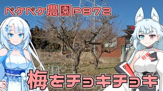 2024年1月12日　農作業日誌P872　梅の剪定もしたけど、アースオーガも試したよ