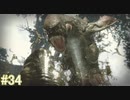 【MHRise】モンスターハンターライズ 実況プレイ part34