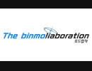 The binmollaboration