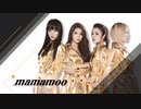 スターアタック　第8回  MAMAMOO
