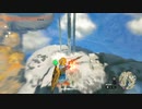 【Switch】リンクがゾナウとゼルダ探し旅【プレイ動画】part126