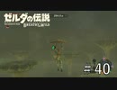 鳥人間チャレンジ【ゼルダの伝説ブレスオブザワイルド】#40