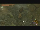 【Switch】リンクがゾナウとゼルダ探し旅【プレイ動画】part127