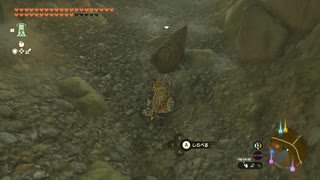 【Switch】リンクがゾナウとゼルダ探し旅【プレイ動画】part127