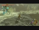 【Switch】リンクがゾナウとゼルダ探し旅【プレイ動画】part128